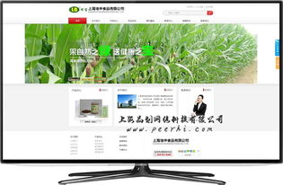 松江網站建設 打造專業商品圖相冊，提升品牌視覺力量