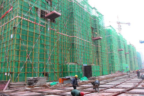 鼎泰 金色家園丨工匠心筑精品,美好生活在靠近 最新工程進(jìn)度播報