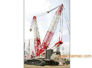 山東優(yōu)質(zhì)履帶吊出租服務(wù)與園林景觀工程設(shè)計方案