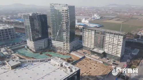 開年即沖刺 齊魯大地園林景觀工程建設(shè)不停歇